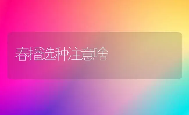 春播选种注意啥 | 养殖技术大全