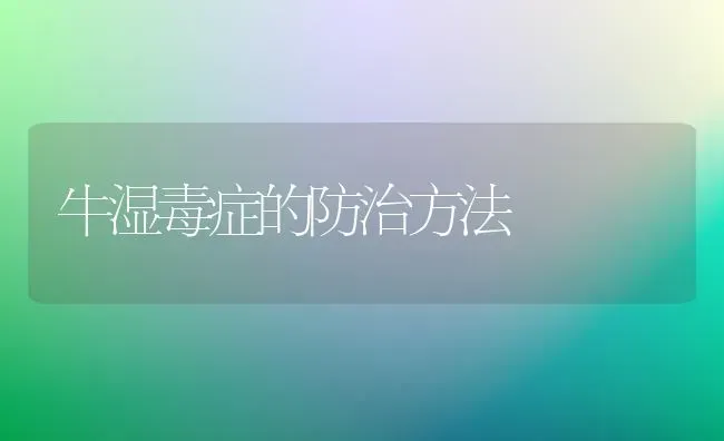 牛湿毒症的防治方法 | 养殖技术大全