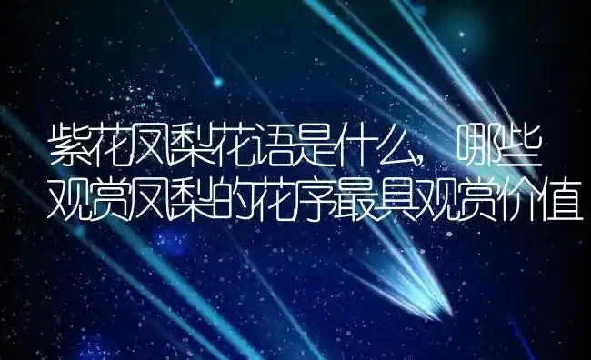 紫花凤梨花语是什么,哪些观赏凤梨的花序最具观赏价值 | 养殖学堂