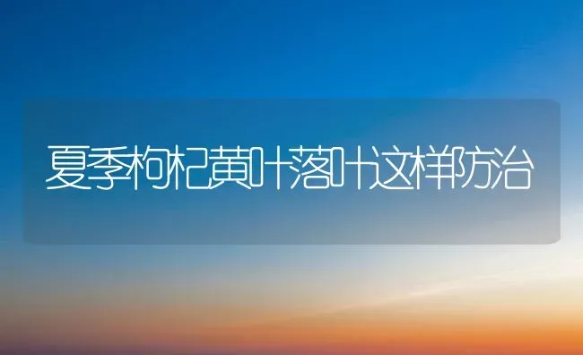 夏季枸杞黄叶落叶这样防治 | 养殖技术大全