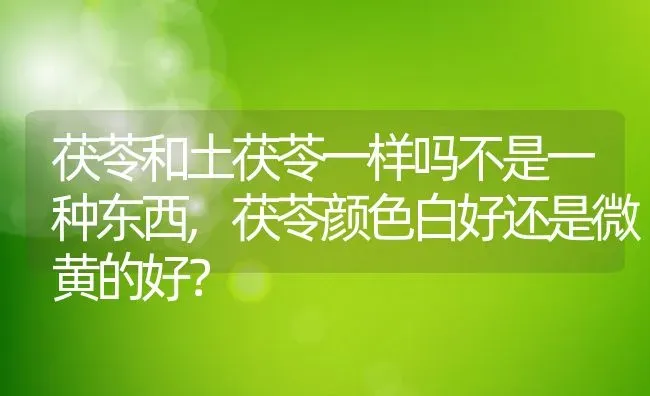 茯苓和土茯苓一样吗不是一种东西,茯苓颜色白好还是微黄的好？ | 养殖科普