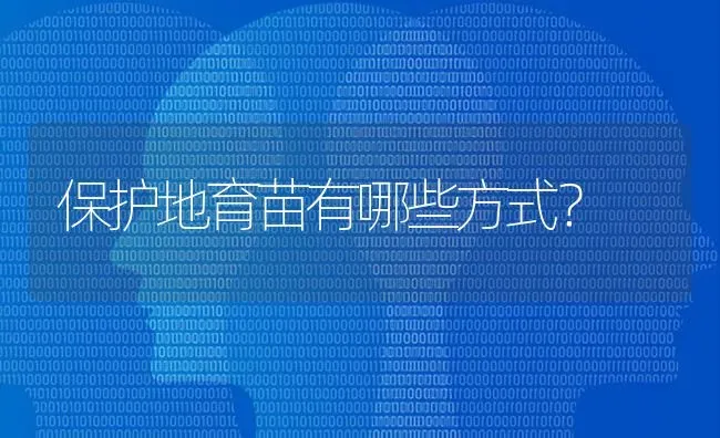 保护地育苗有哪些方式? | 养殖知识