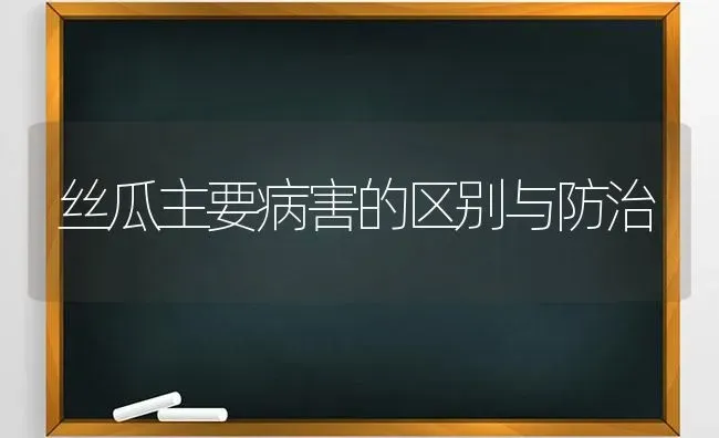 丝瓜主要病害的区别与防治 | 养殖技术大全