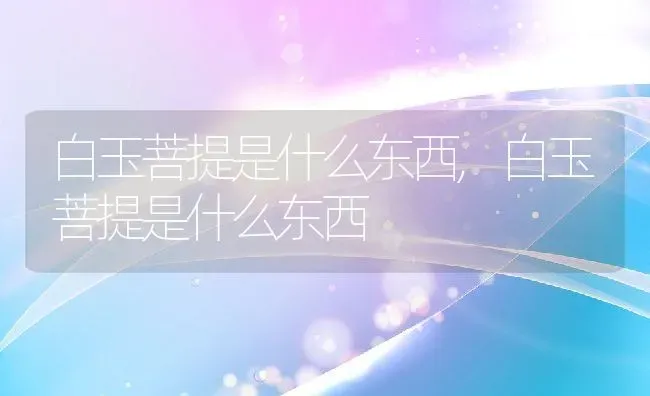 白玉菩提是什么东西,白玉菩提是什么东西 | 养殖科普