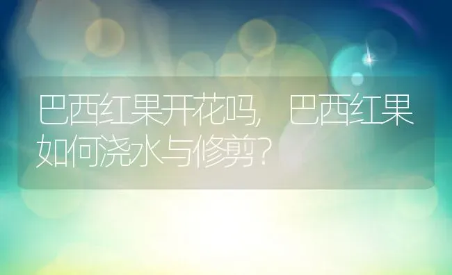 巴西红果开花吗,巴西红果如何浇水与修剪？ | 养殖科普