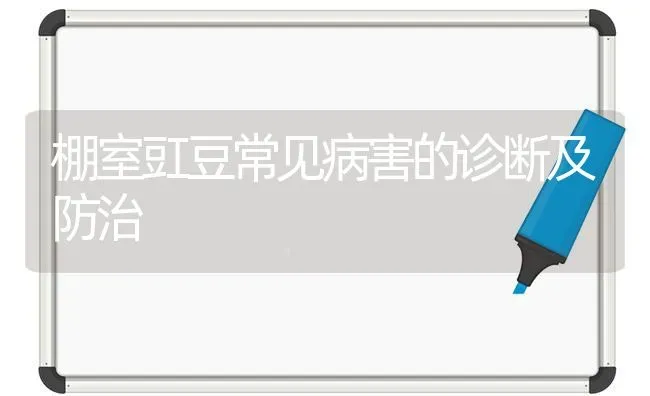 棚室豇豆常见病害的诊断及防治 | 养殖技术大全