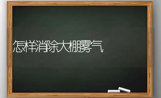 怎样消除大棚雾气 | 养殖知识