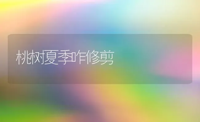 北方温室辣椒越冬茬栽培技巧 | 养殖技术大全