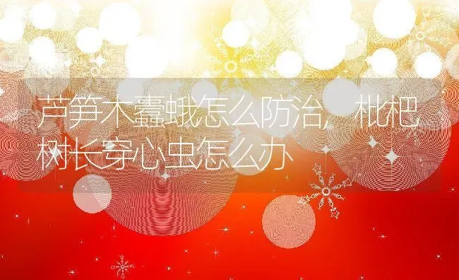 芦笋木蠹蛾怎么防治,枇杷树长穿心虫怎么办 | 养殖学堂