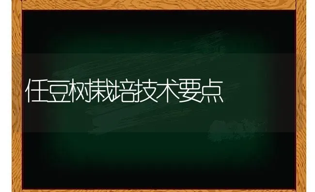 任豆树栽培技术要点 | 养殖知识