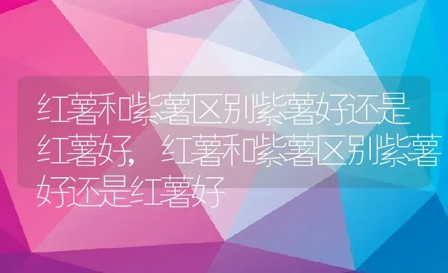 红薯和紫薯区别紫薯好还是红薯好,红薯和紫薯区别紫薯好还是红薯好 | 养殖科普