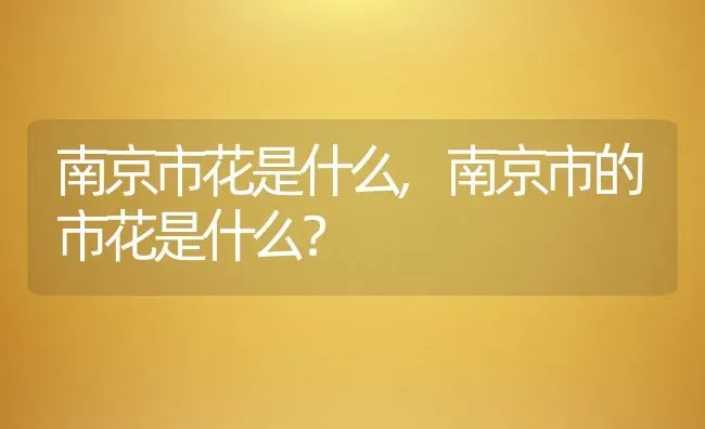 南京市花是什么,南京市的市花是什么？ | 养殖科普