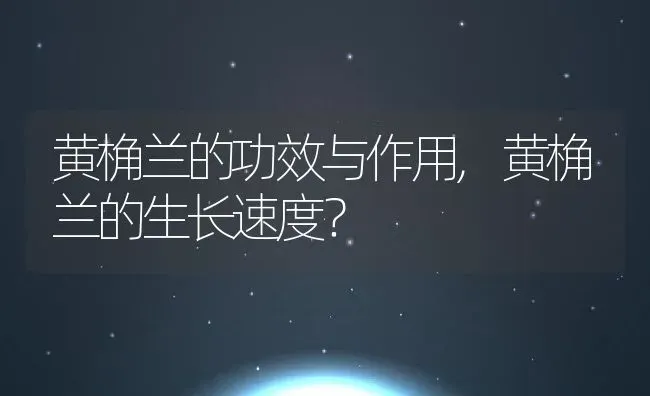 黄桷兰的功效与作用,黄桷兰的生长速度？ | 养殖科普