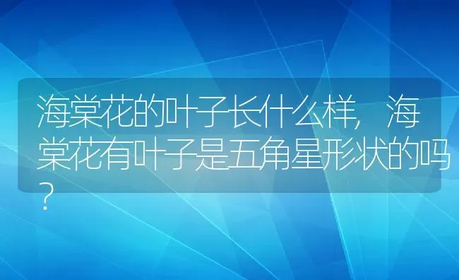 海棠花的叶子长什么样,海棠花有叶子是五角星形状的吗？ | 养殖科普