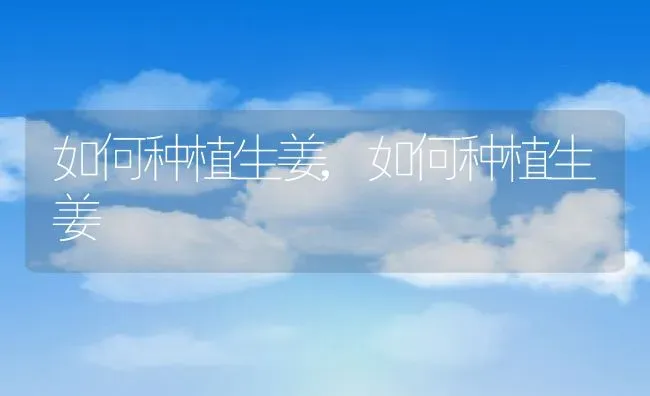 红萝卜的种植方法和时间和技术,红皮萝卜种植时间和方法？ | 养殖科普