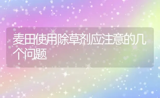 麦田使用除草剂应注意的几个问题 | 养殖技术大全