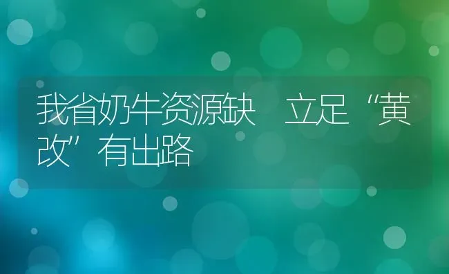 我省奶牛资源缺 立足“黄改”有出路 | 养殖技术大全