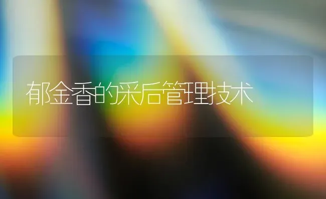 郁金香的采后管理技术 | 养殖技术大全