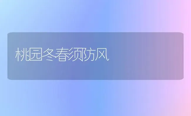 桃园冬春须防风 | 养殖知识