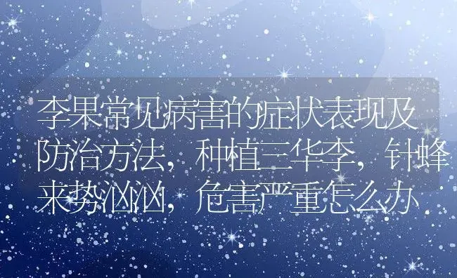 李果常见病害的症状表现及防治方法,种植三华李，针蜂来势汹汹，危害严重怎么办 | 养殖学堂