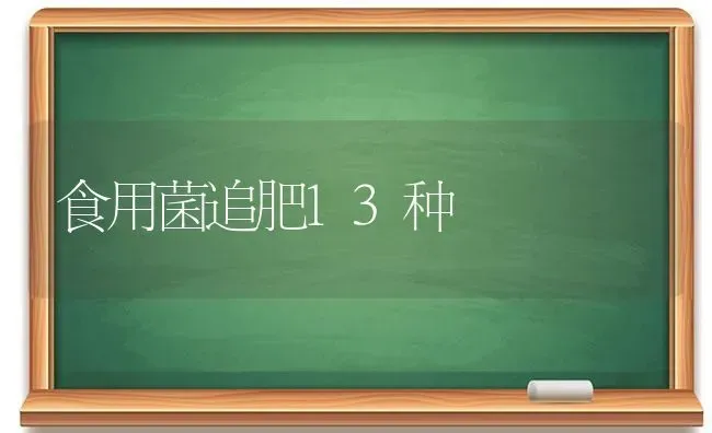 食用菌追肥13种 | 养殖技术大全