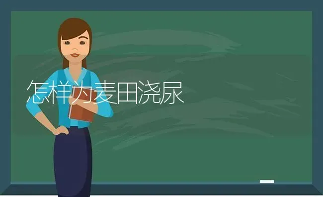 怎样为麦田浇尿 | 养殖知识