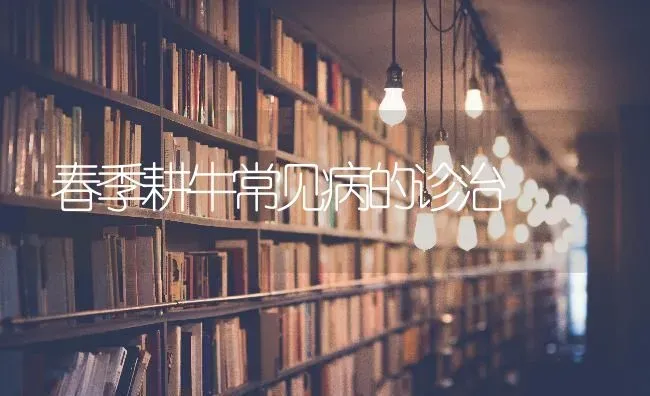 春季耕牛常见病的诊治 | 养殖技术大全