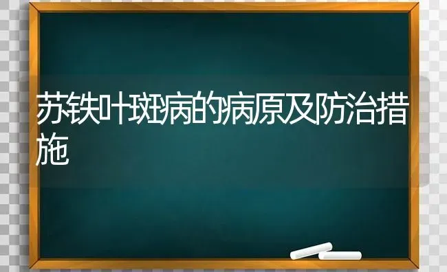 苏铁叶斑病的病原及防治措施 | 养殖技术大全