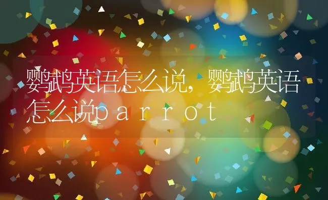 鹦鹉英语怎么说,鹦鹉英语怎么说parrot | 养殖科普