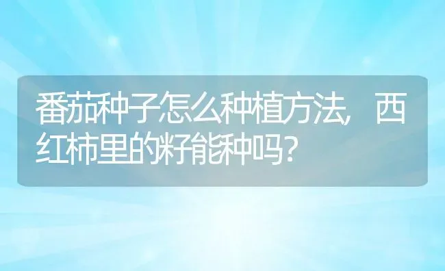 番茄种子怎么种植方法,西红柿里的籽能种吗？ | 养殖科普