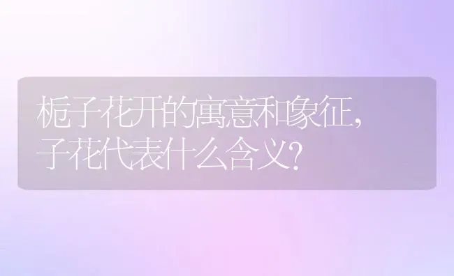 栀子花开的寓意和象征,枙子花代表什么含义？ | 养殖学堂