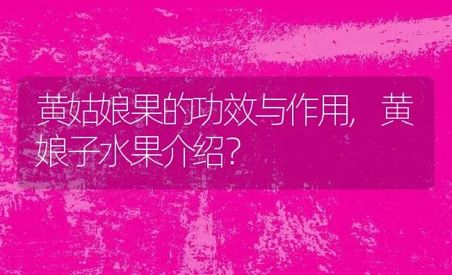 黄姑娘果的功效与作用,黄娘子水果介绍？ | 养殖科普