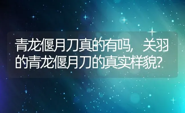 青龙偃月刀真的有吗,关羽的青龙偃月刀的真实样貌？ | 养殖科普