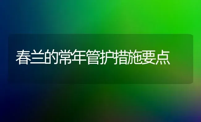 春兰的常年管护措施要点 | 养殖知识
