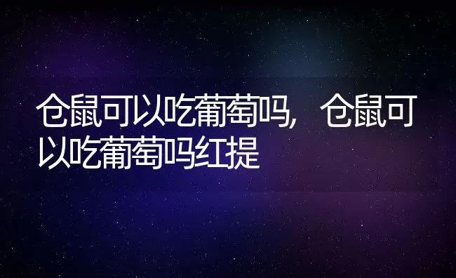 仓鼠可以吃葡萄吗,仓鼠可以吃葡萄吗红提 | 养殖资料