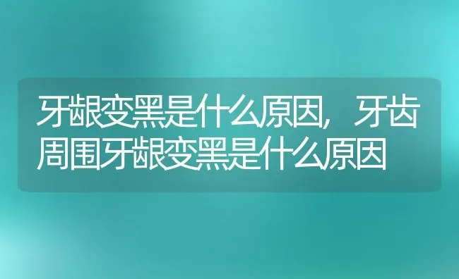 牙龈变黑是什么原因,牙齿周围牙龈变黑是什么原因 | 养殖科普