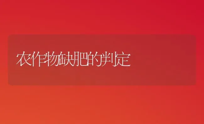 农作物缺肥的判定 | 养殖技术大全