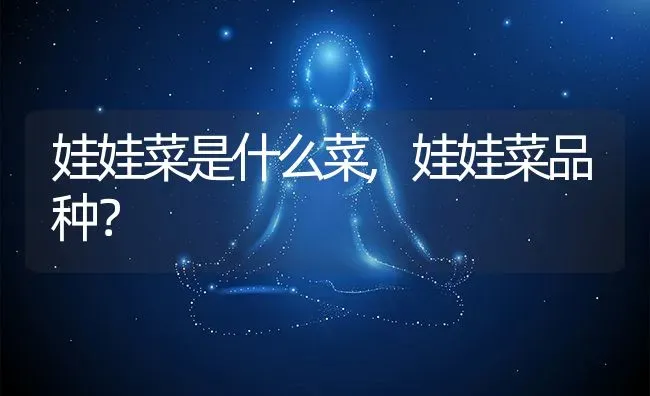 娃娃菜是什么菜,娃娃菜品种？ | 养殖科普