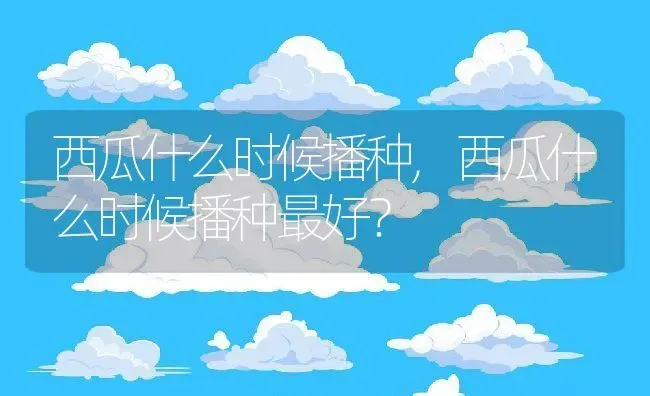 西瓜什么时候播种,西瓜什么时候播种最好？ | 养殖科普