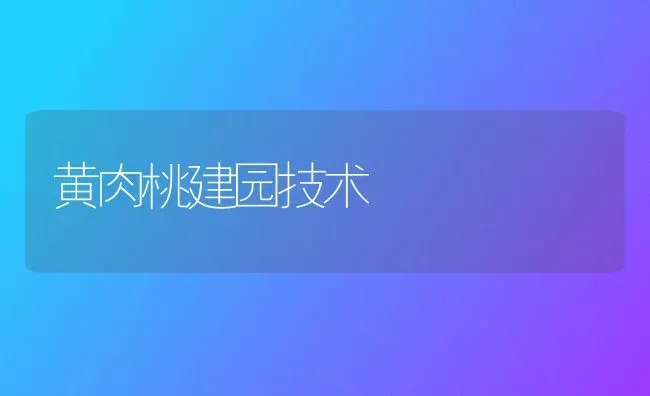 黄肉桃建园技术 | 养殖技术大全