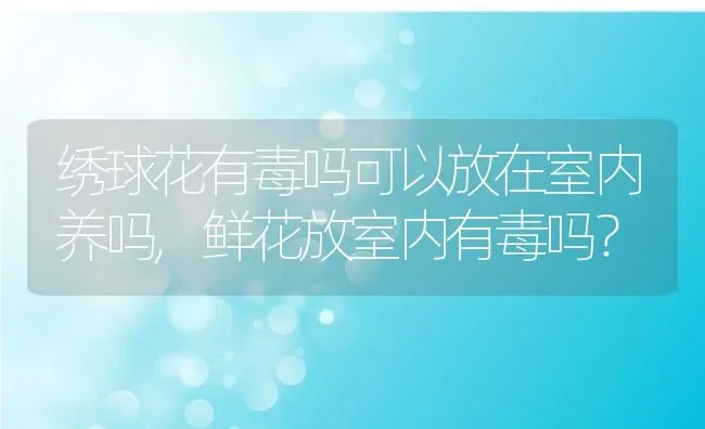 绣球花有毒吗可以放在室内养吗,鲜花放室内有毒吗？ | 养殖科普