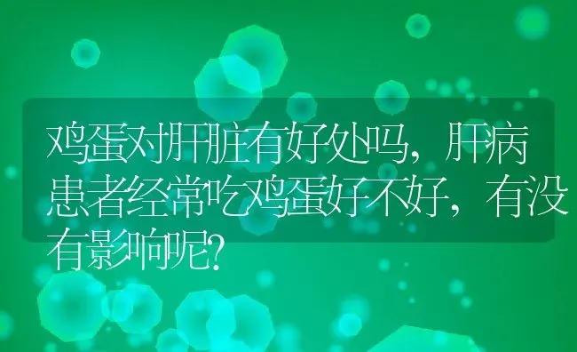 鸡蛋对肝脏有好处吗,肝病患者经常吃鸡蛋好不好,有没有影响呢？ | 养殖学堂
