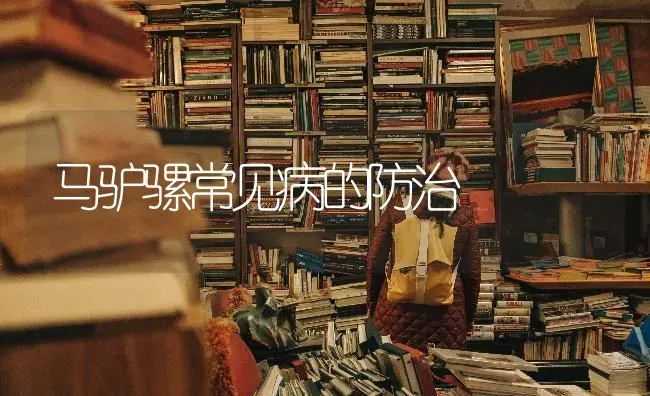 马驴骡常见病的防治 | 养殖技术大全