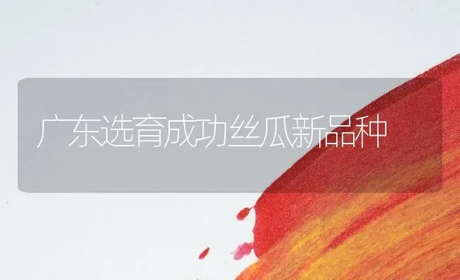 广东选育成功丝瓜新品种 | 养殖知识