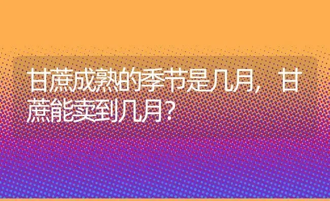 甘蔗成熟的季节是几月,甘蔗能卖到几月？ | 养殖科普