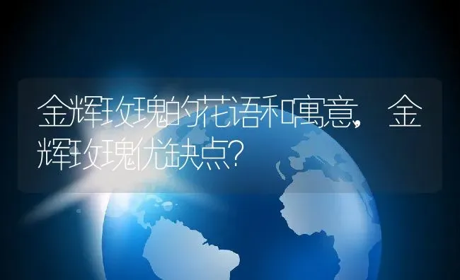 金辉玫瑰的花语和寓意,金辉玫瑰优缺点？ | 养殖科普