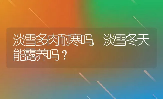 淡雪多肉耐寒吗,淡雪冬天能露养吗？ | 养殖科普