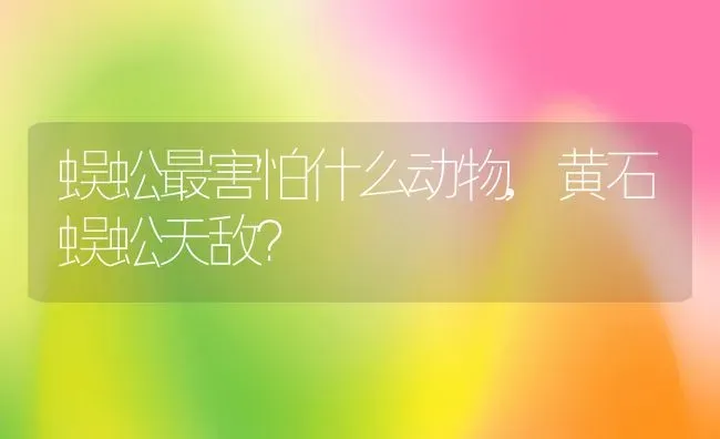 蜈蚣最害怕什么动物,黄石蜈蚣天敌？ | 养殖科普