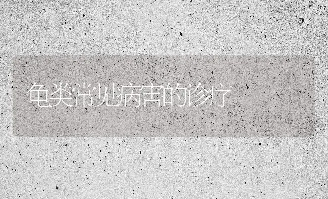龟类常见病害的诊疗 | 养殖技术大全