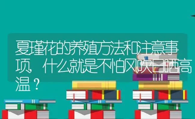夏瑾花的养殖方法和注意事项,什么就是不怕风吹日晒高温？ | 养殖科普